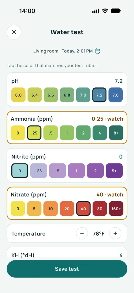 Tankly screenshot 2