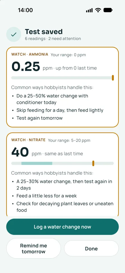 Tankly screenshot 3